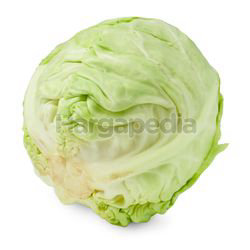Beijing Cabbage 1kg Beijing Cabbage 1kg
