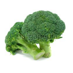 Broccoli 1kg Broccoli 1kg