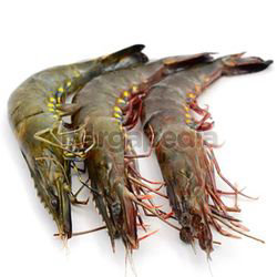 Big Prawns 1kg Big Prawns 1kg