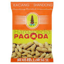 Pagoda Shandong Groundnuts 110gm Pagoda Shandong Groundnuts 110gm