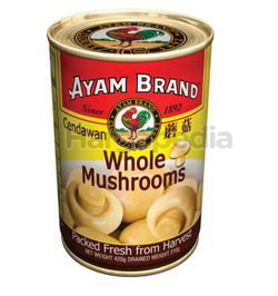 Ayam Brand Button Mushroom 420gm Ayam Brand Button Mushroom 420gm