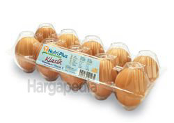 Nutriplus Classic Egg 10s Nutriplus Classic Egg 10s