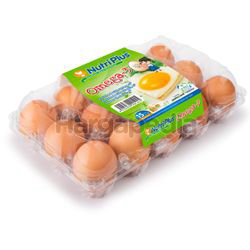 Nutriplus Eggs Omega 3 Eggs Medium 15s Nutriplus Eggs Omega 3 Eggs Medium 15s