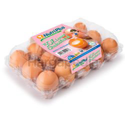 Nutriplus Low Cholesterol Eggs (Medium) 15s Nutriplus Low Cholesterol Eggs (Medium) 15s