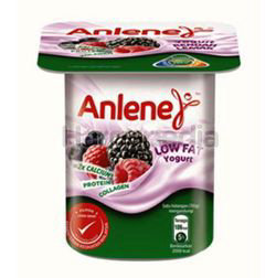 Anlene Low Fat Yogurt Mixed Berries 110gm Anlene Low Fat Yogurt Mixed Berries 110gm