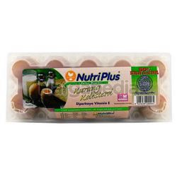 Nutriplus Low Cholesterol Eggs (Medium) Egg 10s Nutriplus Low Cholesterol Eggs (Medium) Egg 10s