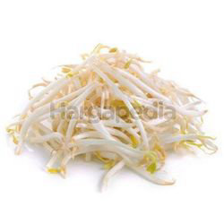Bean Sprout 1kg Bean Sprout 1kg