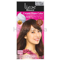 Liese Blaune Creamy Foam Color 3R Rose Brown 1set Liese Blaune Creamy Foam Color 3R Rose Brown 1set