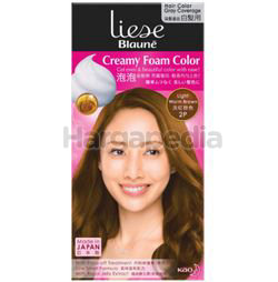 Liese Blaune Creamy Foam Color 2P Light Warm Brown 1set Liese Blaune Creamy Foam Color 2P Light Warm Brown 1set