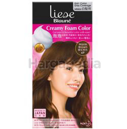 Liese Blaune Creamy Foam Color 4P Warm Brown 1set Liese Blaune Creamy Foam Color 4P Warm Brown 1set