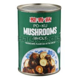 Alishan Po-ku Mushroom 284gm Alishan Po-ku Mushroom 284gm
