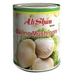 Alishan Bailing Mushroom 850gm Alishan Bailing Mushroom 850gm