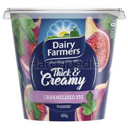 Dairy Farmers Thick & Creamy Yogurt Caramelised Fig 600gm Dairy Farmers Thick & Creamy Yogurt Caramelised Fig 600gm
