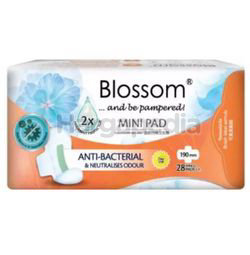 Blossom Day Use Mini Pad Wing 19cm 28s Blossom Day Use Mini Pad Wing 19cm 28s