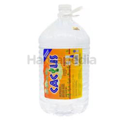 Cactus Distilled Drinking Water 9.5lit Cactus Distilled Drinking Water 9.5lit